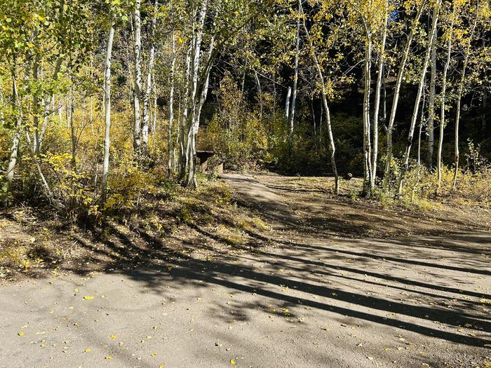 Path to picnic table 