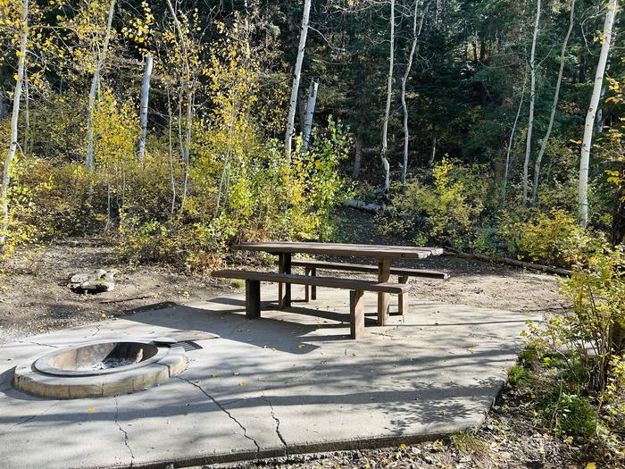 A photo of Site A23 of Loop A at PAYSON LAKES with Picnic Table, Fire Pit