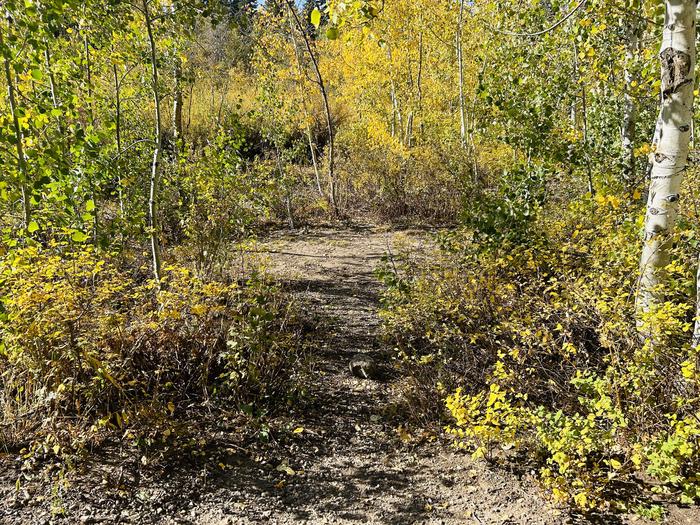 A photo of Site A24 of Loop A at PAYSON LAKES with Tent Pad