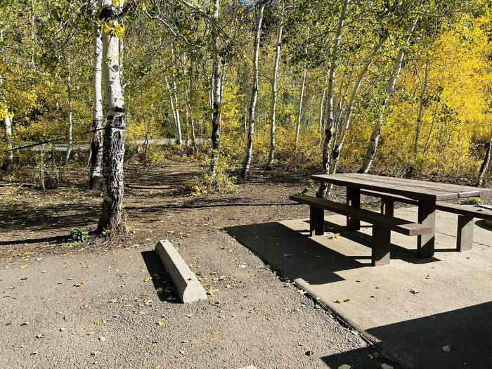 A photo of Site A28/29 of Loop A at PAYSON LAKES with Picnic Table, Tent Pad