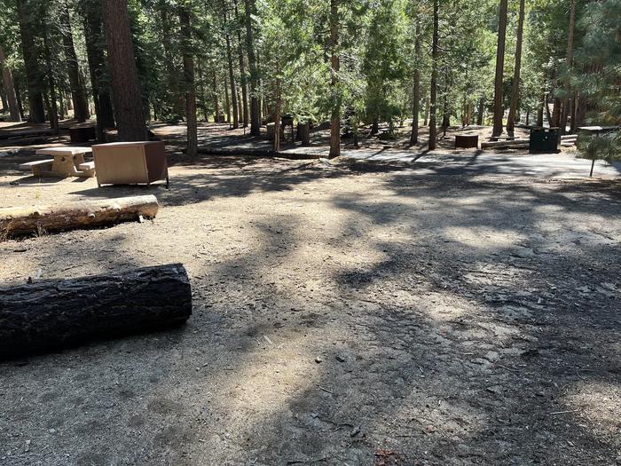 Right side of campsite showing bear box and picnic tableRight side of campsite