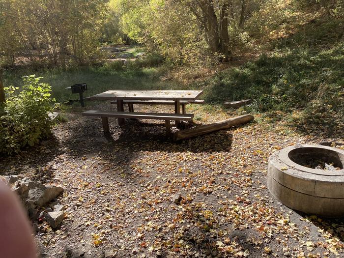 A photo of Site 005 of Loop HOPE  at HOPE with Picnic Table, Fire Pit, Tent Pad