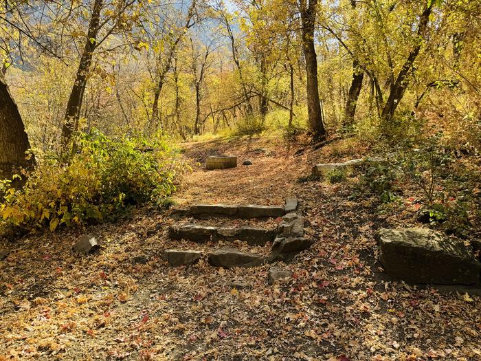 Stairs to site 