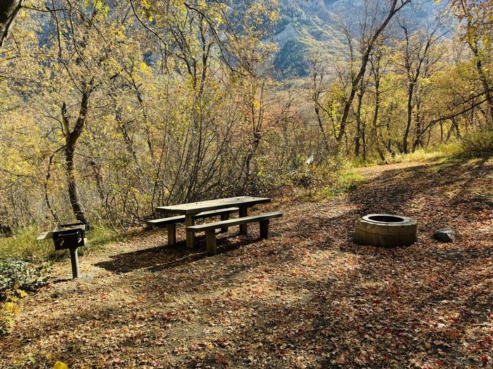 A photo of Site 008 of Loop HOPE  at HOPE with Picnic Table, Fire Pit