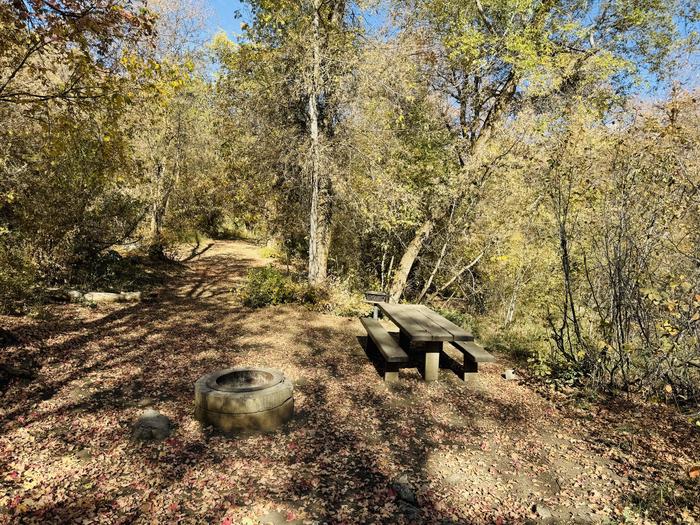 A photo of Site 008 of Loop HOPE  at HOPE with Picnic Table, Fire Pit