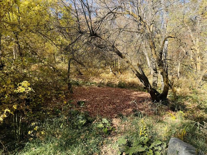 A photo of Site 012 of Loop HOPE  at HOPE with Tent Pad