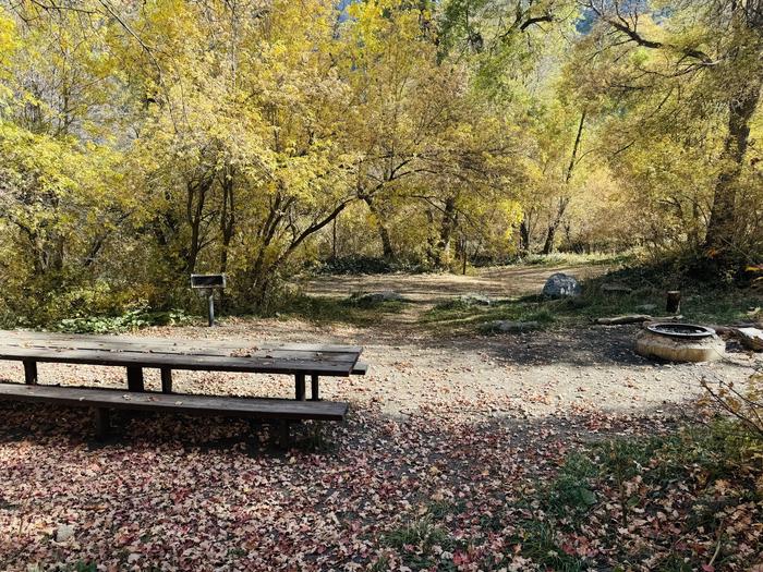 A photo of Site 012 of Loop HOPE  at HOPE with Picnic Table, Fire Pit, Tent Pad