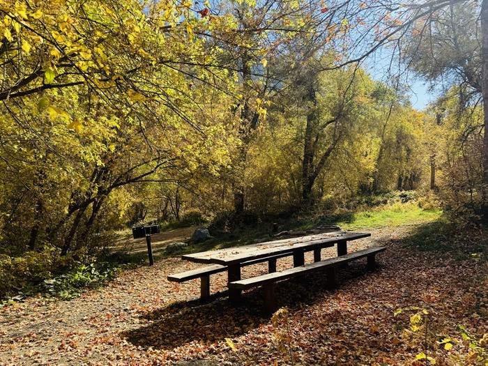 A photo of Site 012 of Loop HOPE  at HOPE with Picnic Table, Fire Pit