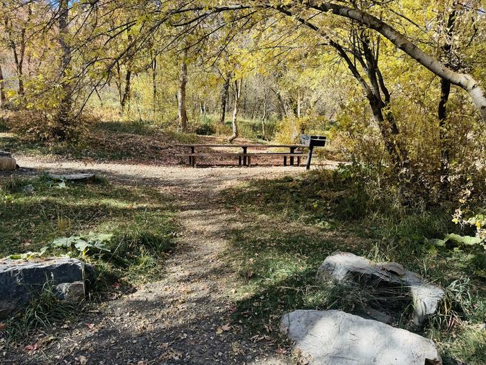 A photo of Site 012 of Loop HOPE  at HOPE with Picnic Table, Fire Pit