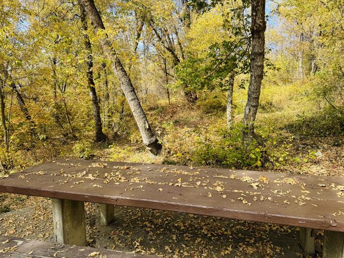 A photo of Site Aldo Leopold of Loop ROCA at ROCK CANYON with Picnic Table, Tent Pad