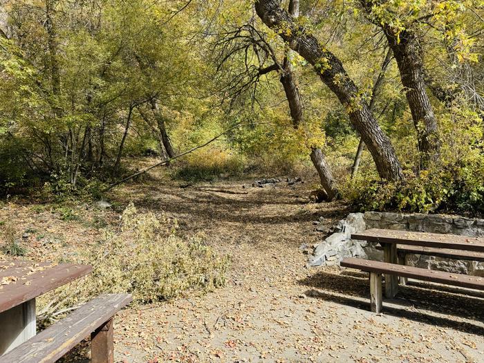 A photo of Site Aldo Leopold of Loop ROCA at ROCK CANYON with Picnic Table, Tent Pad