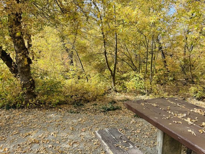 A photo of Site Aldo Leopold of Loop ROCA at ROCK CANYON with Picnic Table, Tent Pad