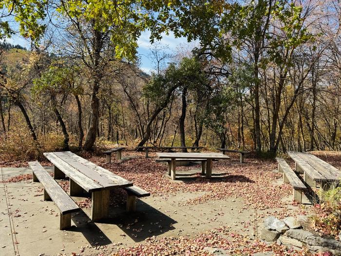 A photo of Site Gifford Pinchot of Loop ROCA at ROCK CANYON with Picnic Table, Fire Pit