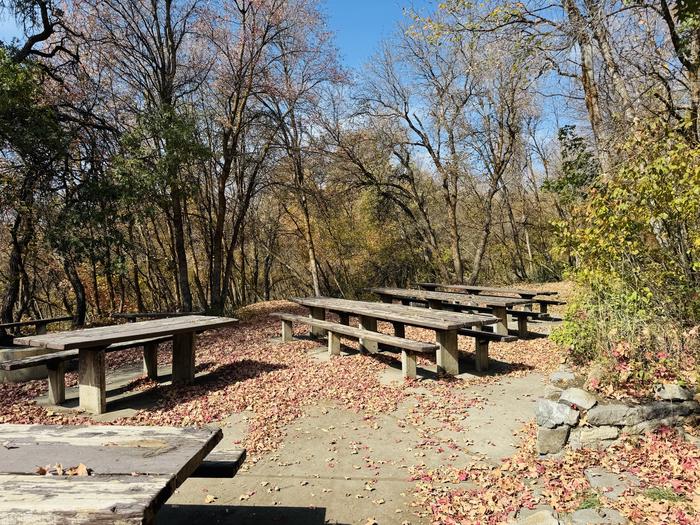 A photo of Site Gifford Pinchot of Loop ROCA at ROCK CANYON with Picnic Table, Fire Pit