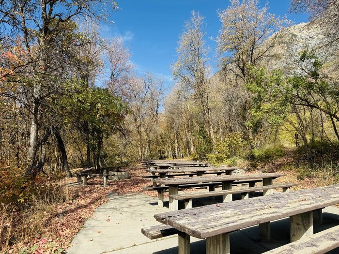 A photo of Site Gifford Pinchot of Loop ROCA at ROCK CANYON with Picnic Table, Fire Pit