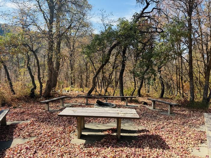 A photo of Site Gifford Pinchot of Loop ROCA at ROCK CANYON with Picnic Table, Fire Pit