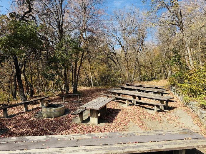 A photo of Site Gifford Pinchot of Loop ROCA at ROCK CANYON with Picnic Table, Fire Pit