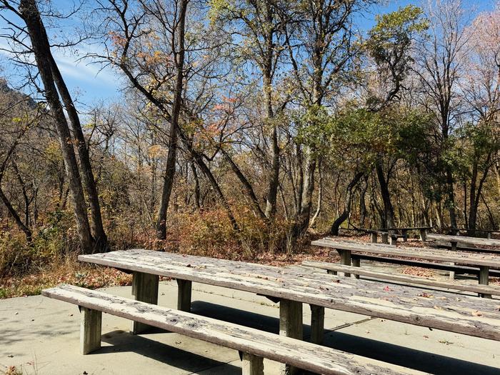 A photo of Site Gifford Pinchot of Loop ROCA at ROCK CANYON with Picnic Table, Fire Pit