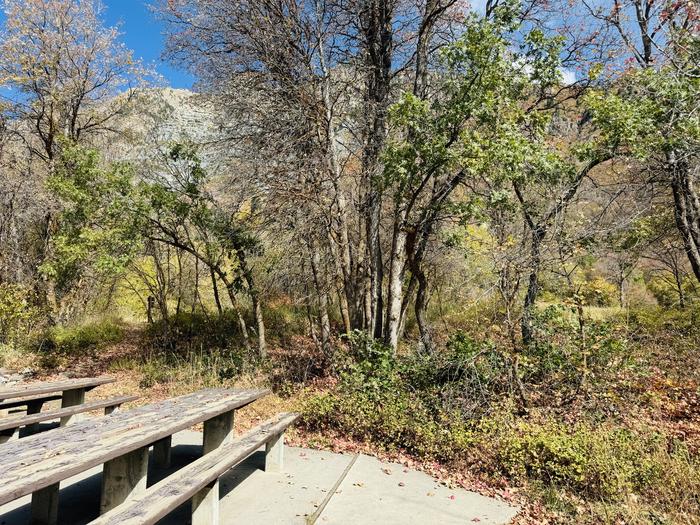 A photo of Site Gifford Pinchot of Loop ROCA at ROCK CANYON with Picnic Table toward parking 