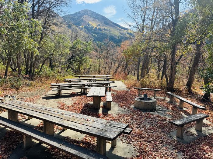 A photo of Site Gifford Pinchot of Loop ROCA at ROCK CANYON with Picnic Table, Fire Pit