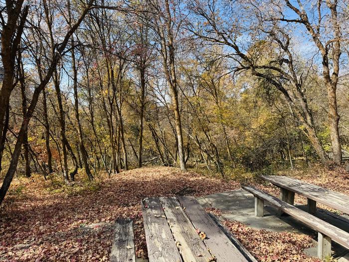 A photo of Site Gifford Pinchot of Loop ROCA at ROCK CANYON with Picnic Table, Tent Pad