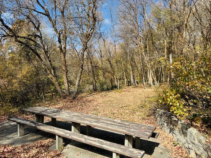 A photo of Site Gifford Pinchot of Loop ROCA at ROCK CANYON with Picnic Table, Tent Pad