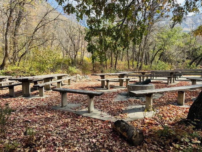 A photo of Site Gifford Pinchot of Loop ROCA at ROCK CANYON with Picnic Table, Fire Pit