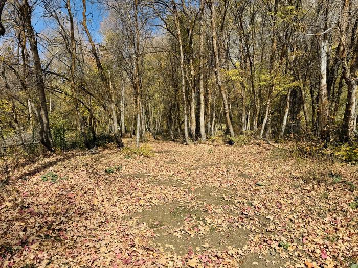 A photo of Site Gifford Pinchot of Loop ROCA at ROCK CANYON with Tent Pad