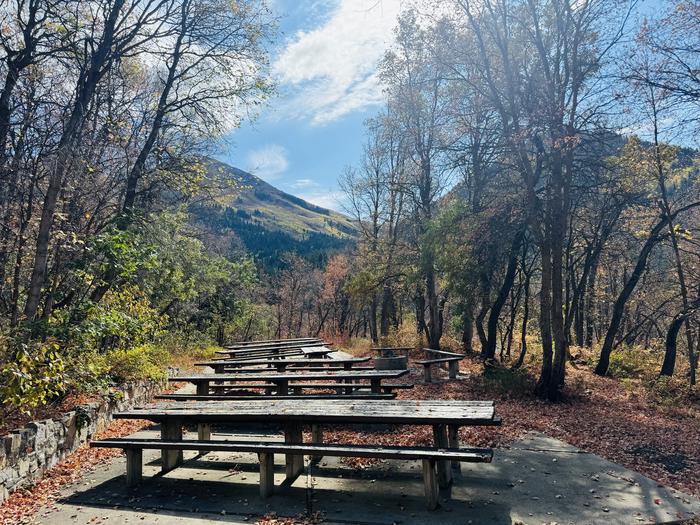 A photo of Site Gifford Pinchot of Loop ROCA at ROCK CANYON with Picnic Table, Fire Pit