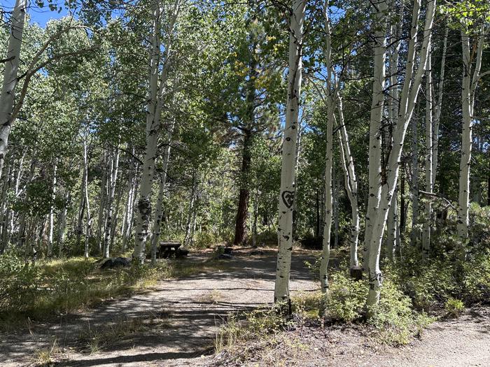 A photo of Site 5 of Loop Obsidian at Obsidian with Picnic Table, Fire Pit, Shade, Tent Pad