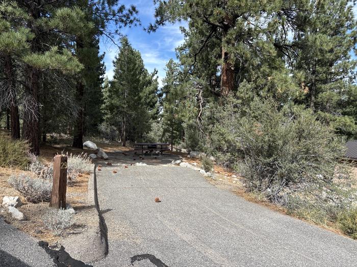 A photo of Site 29 of Loop  at Bootleg with Picnic Table, Fire Pit, Tent Pad