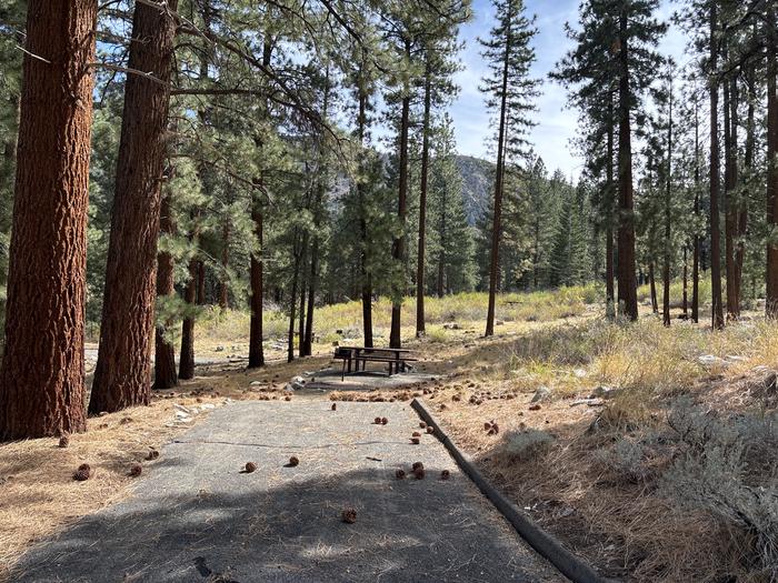 A photo of Site 54 of Loop  at Bootleg with Picnic Table, Fire Pit, Tent Pad