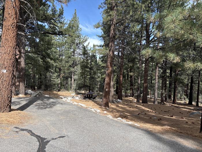 A photo of Site 43 of Loop  at Bootleg with Picnic Table, Fire Pit, Tent Pad