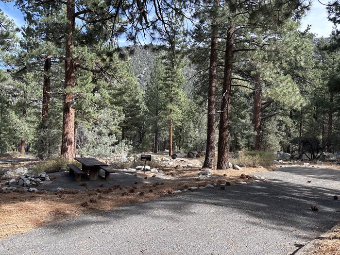 A photo of Site 11 of Loop  at Bootleg with Picnic Table, Fire Pit, Tent Pad