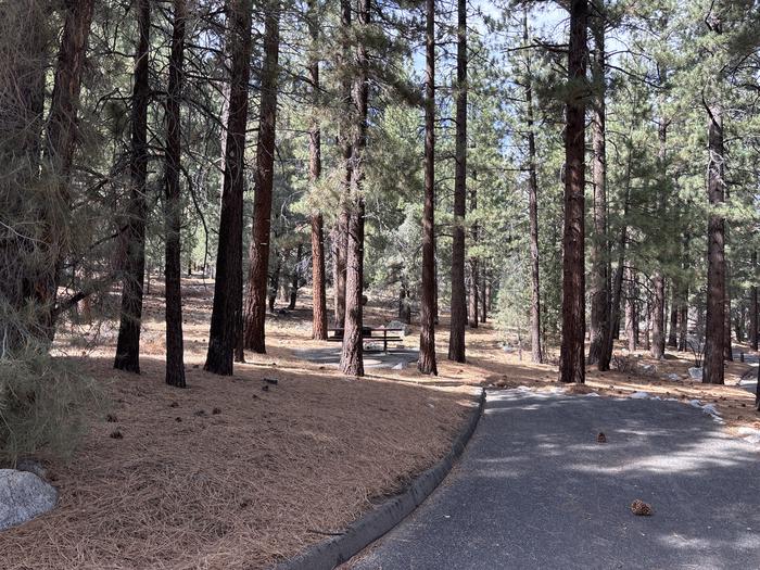 A photo of Site 32 of Loop  at Bootleg with Picnic Table, Fire Pit, Tent Pad