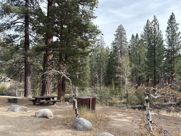 A photo of Site 5 of Loop Leavitt Meadows at Leavitt Meadows with Picnic Table, Fire Pit, Food Storage, Tent Pad, Waterfront