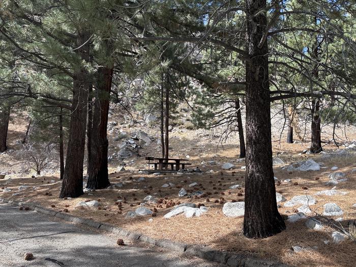 A photo of Site 6 of Loop  at Bootleg with Picnic Table, Fire Pit