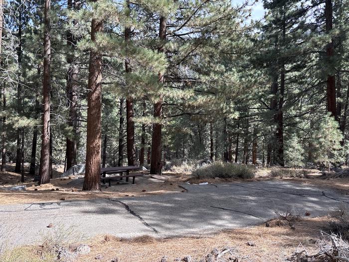 A photo of Site 31 of Loop  at Bootleg with Picnic Table, Fire Pit, Tent Pad