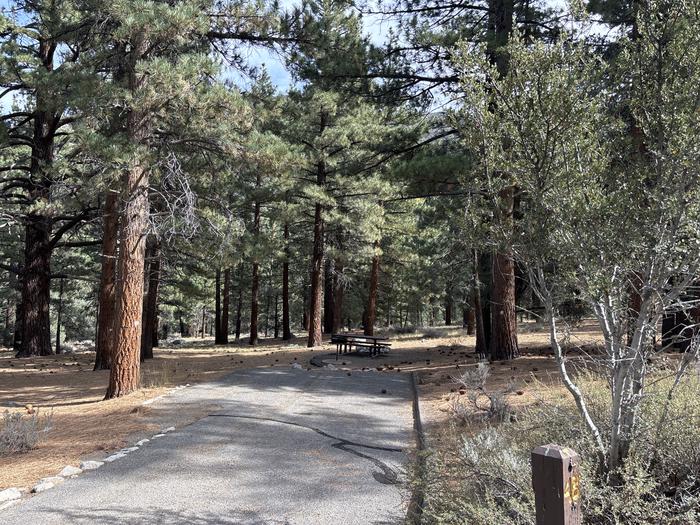 A photo of Site 48 of Loop  at Bootleg with Picnic Table, Fire Pit, Tent Pad