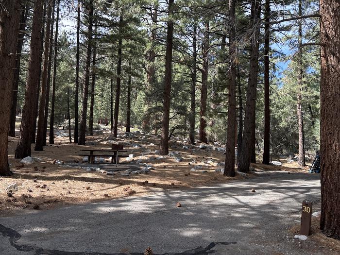 A photo of Site 30 of Loop  at Bootleg with Picnic Table, Fire Pit, Tent Pad