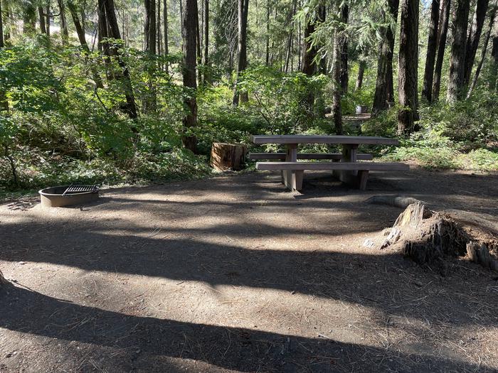 A photo of Site 014 of Loop LOWE at PERRY SOUTH CAMPGROUND with Picnic Table