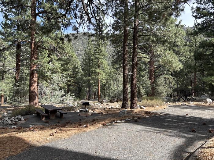 A photo of Site 22 of Loop  at Bootleg with Picnic Table, Fire Pit, Tent Pad