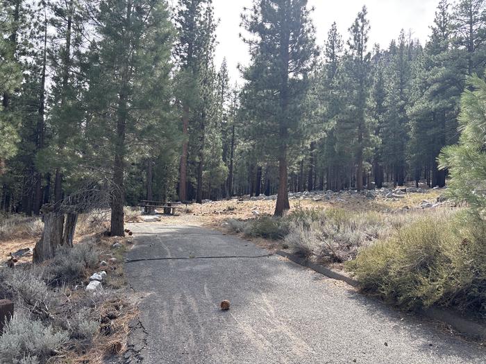 A photo of Site 28 of Loop  at Bootleg with Picnic Table, Fire Pit, Tent Pad