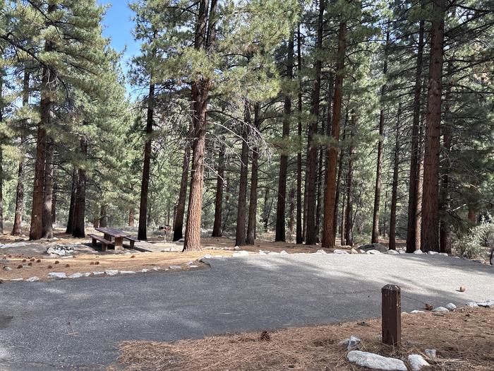 A photo of Site 42 of Loop  at Bootleg with Picnic Table, Fire Pit, Tent Pad