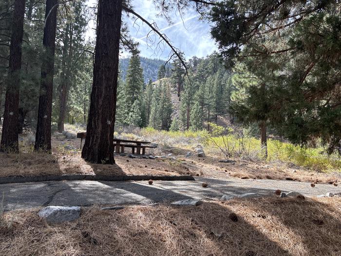 A photo of Site 49 of Loop  at Bootleg with Picnic Table, Fire Pit, Tent Pad