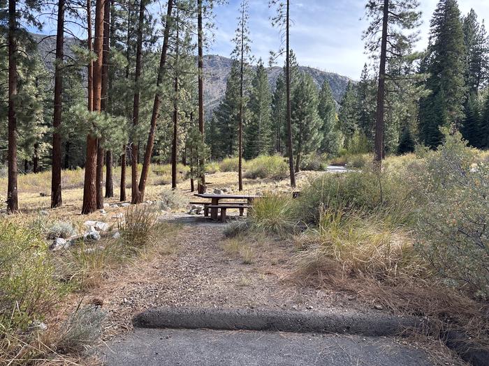 A photo of Site 55 of Loop  at Bootleg with Picnic Table, Fire Pit, Tent Pad