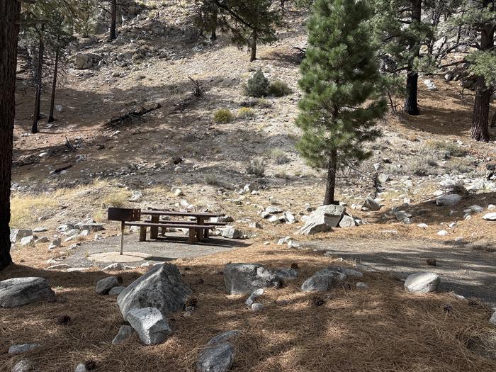 A photo of Site 4 of Loop  at Bootleg with Picnic Table, Fire Pit