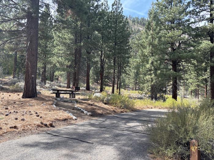 A photo of Site 47 of Loop  at Bootleg with Picnic Table, Fire Pit, Tent Pad