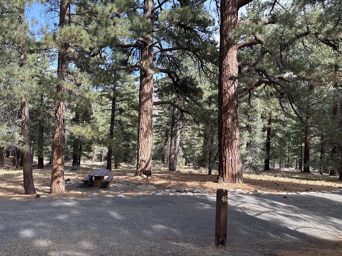 A photo of Site 46 of Loop  at Bootleg with Picnic Table, Fire Pit, Tent Pad