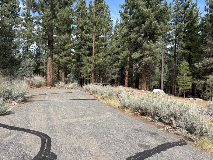 A photo of Site 63 of Loop  at Bootleg with Picnic Table, Fire Pit, Tent Pad